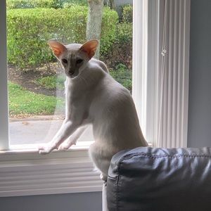 Meet your Posher, Michael